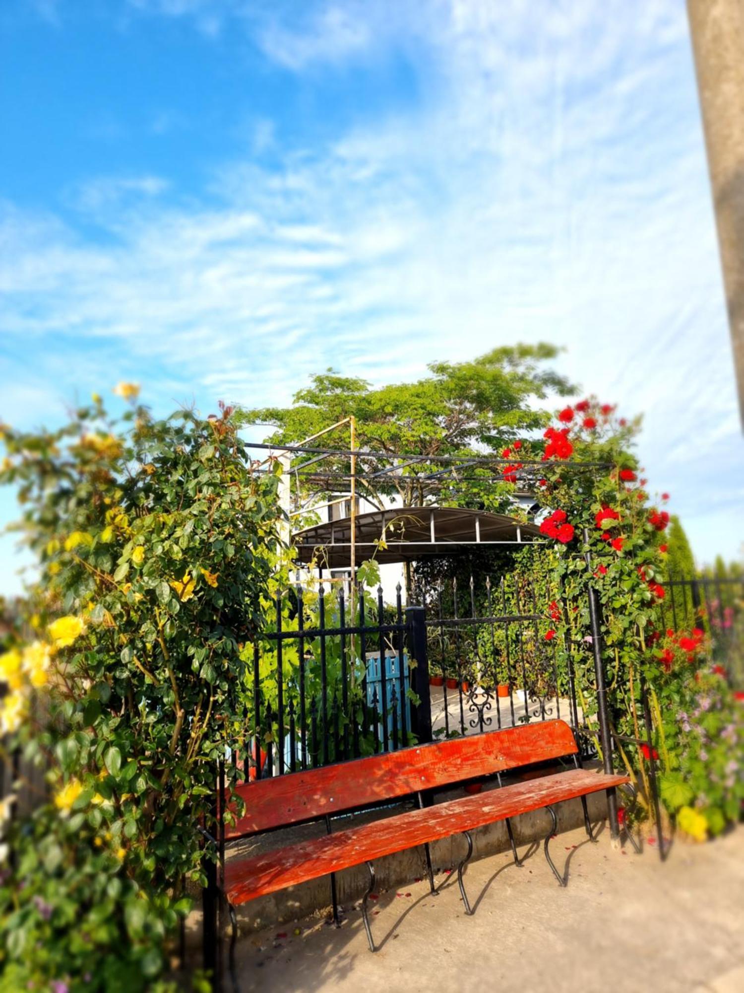 Casa Cu Trandafiri Murighiol Exterior foto